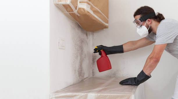 Professional Mold Remediation technician working in Plano, IL