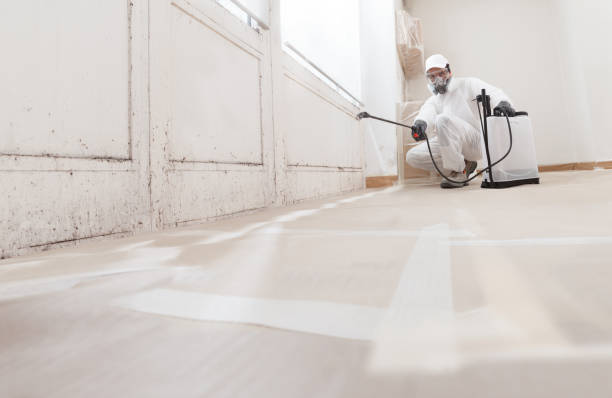 24/7 Emergency Mold Remediation experts in Plano, IL